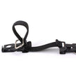 Milwaukee Leather MLA4012 Motorcycle Biker Celtic Circle Emblem Elastic Bungee Clips for Chaps or Pants (Set of 2)